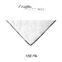 zeugma sade yatak üçgen.webp