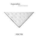 aspendos sade yatak üçgen.webp