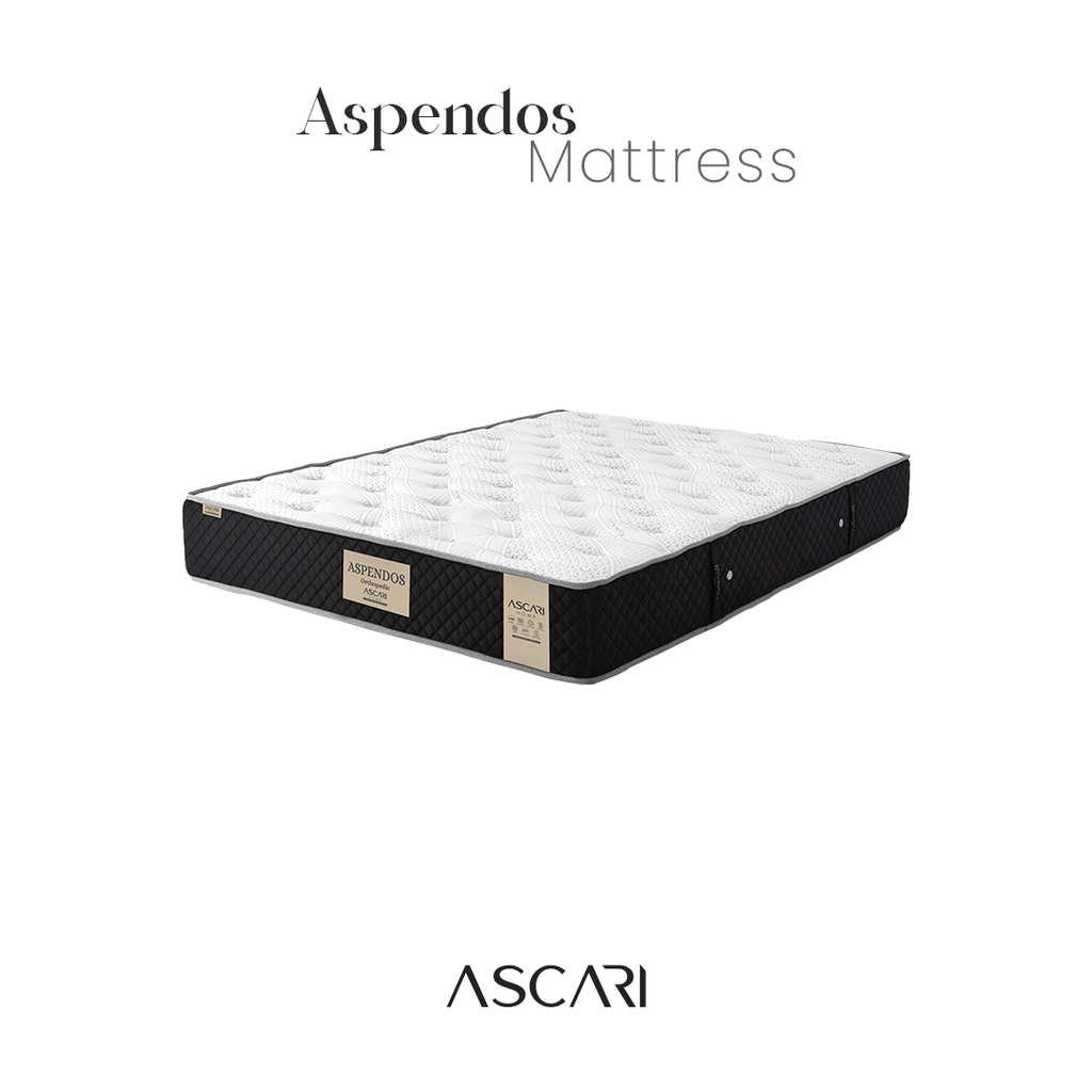 Aspendos Visco Yatak (90x190)