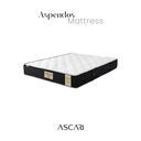 Aspendos Visco Yatak